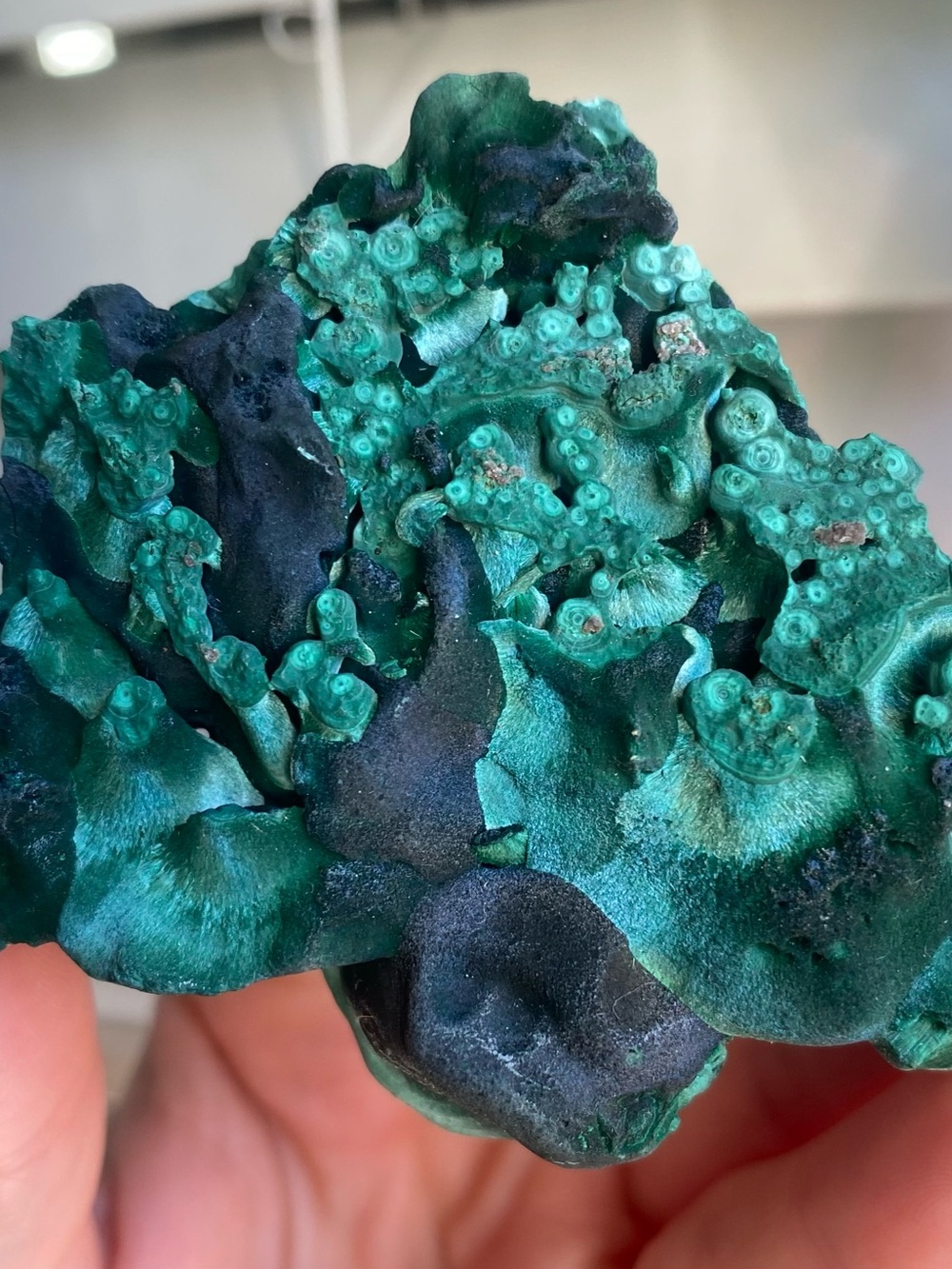 💚✨ AAA-Grade Raw Malachite — 2.5” with Stand ✨💚